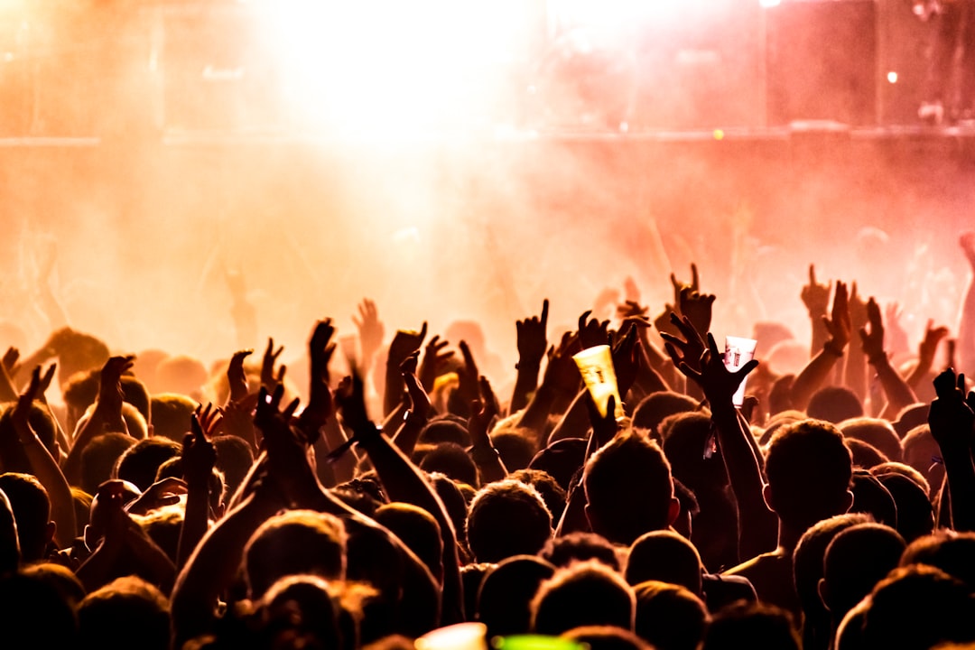 Fans at a concert